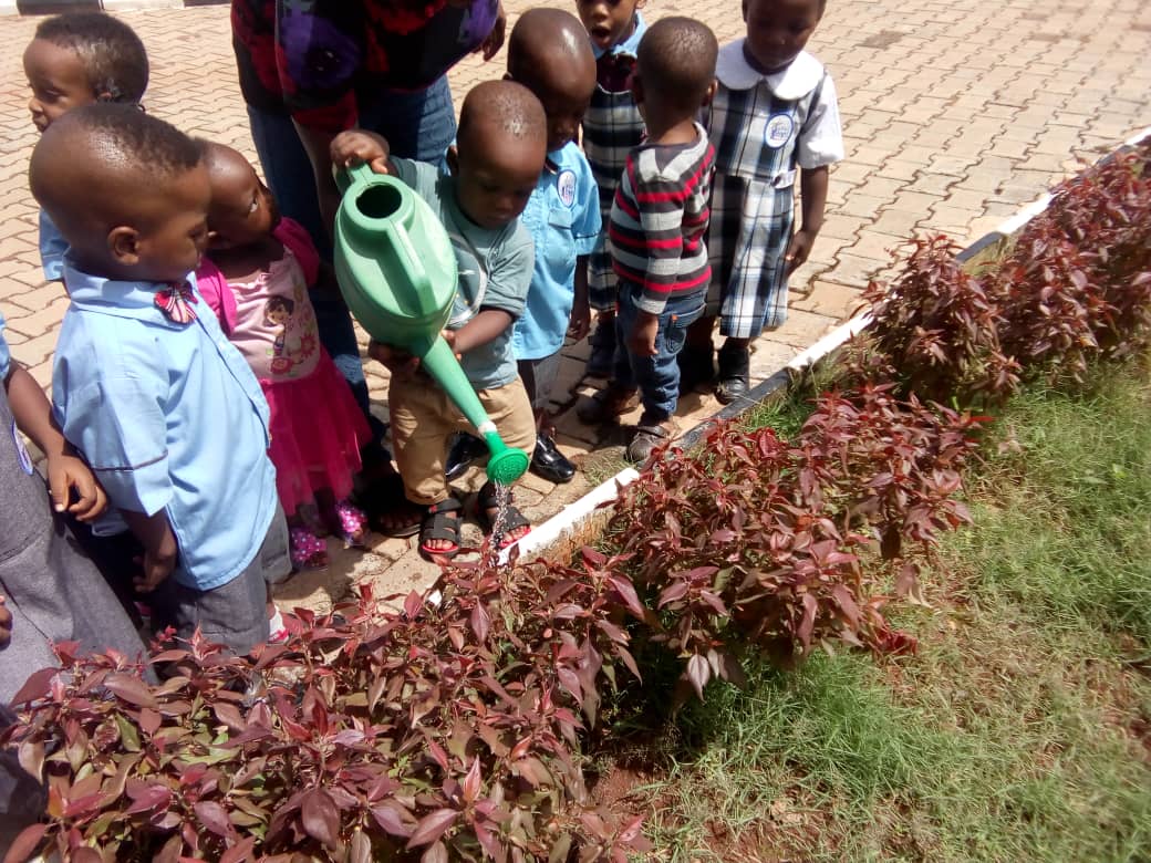 Adinoheight Pre-Nursery
